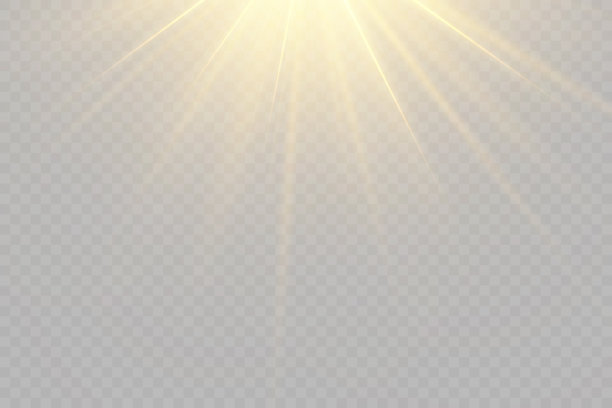 Veer