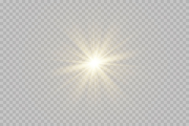 Veer