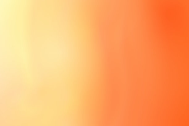 Veer