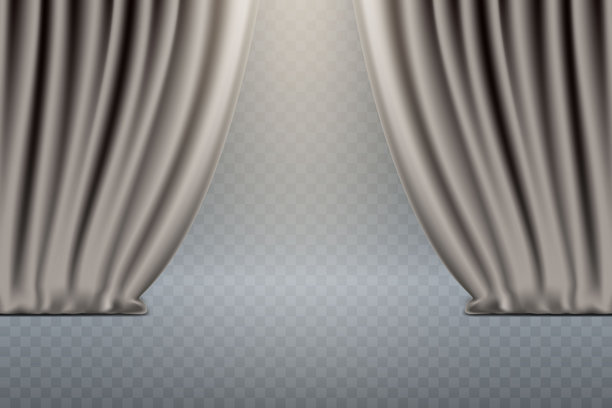 Veer