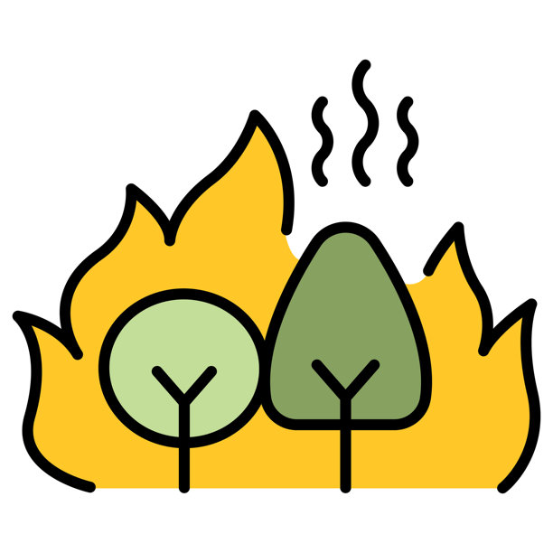 Veer