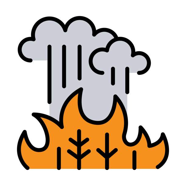 Veer