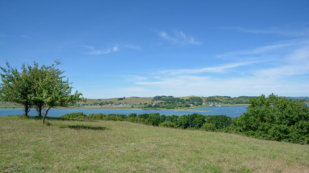 Veer