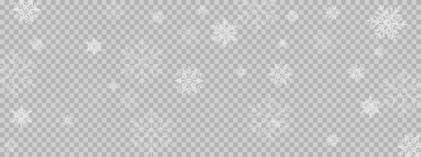 Veer