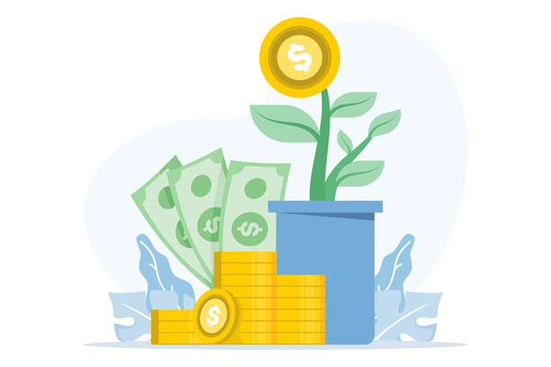 Veer