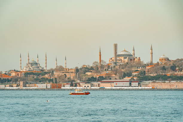 Veer