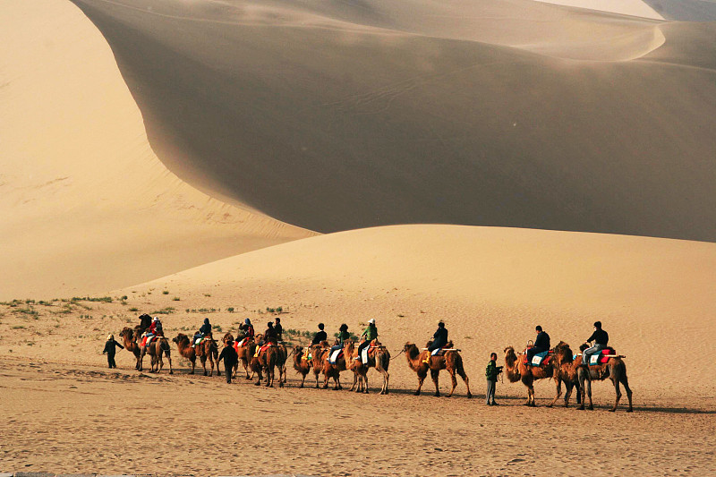 戈壁滩,骆驼,丝绸之路,敦煌,驼峰,印地安娜,水平画幅,沙子,旅行者,户外
