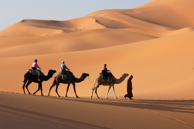 驼队,撒哈拉沙漠,骆驼,erg,chebbi,dunes,摩洛哥,沙漠,三只动物,护送队,单峰骆驼,水平画幅