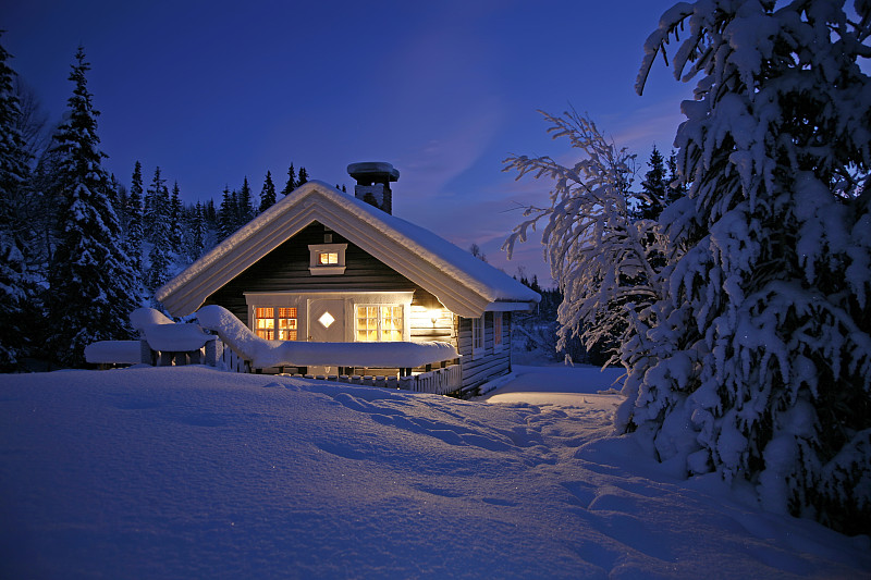 小别墅,水平画幅,小木屋,夜晚,雪,无人,圣诞树,冬至,云杉
