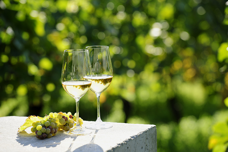 白葡萄酒,葡萄园,玻璃杯,两个物体,白雷司令葡萄,酒瓶,葡萄酒,玻璃,白葡萄,自然