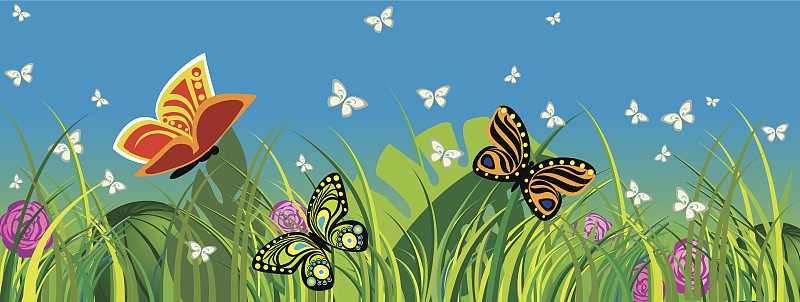 夏天,两翼昆虫,自然,天空,草地,黑脉纹白蝴蝶,草红花,蝴蝶,无人,蓝色