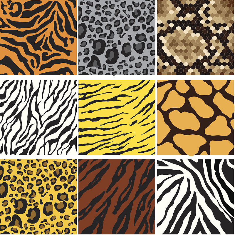 动物图案,虎纹,斑马纹,豹纹,蛇皮纹,美,式样,动物皮,形状,纺织品