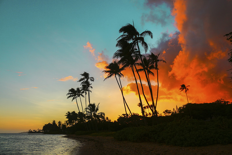 水,天空,水平画幅,无人,早晨,户外,云景,棕榈树,海滩,彩色图片