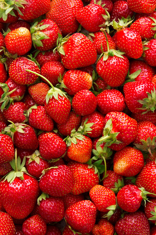草莓,垂直画幅,饮食,绿色,水果,无人,浆果,有机食品,特写,影棚拍摄