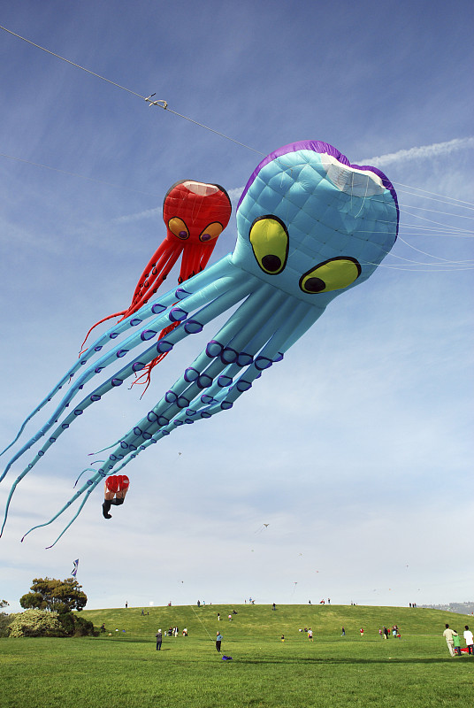 风筝,天空,蓝色,章鱼,两个物体,伯克利,垂直画幅,公园,巨大的,周末活动