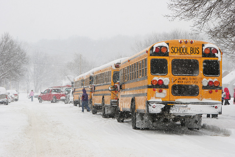 学校,雪,冬天,狗链,古典式,天气,公立学校,校车,皮卡车,暴风雨