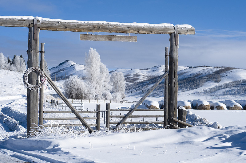 大农场,冬天,杰克逊霍尔,留白,水平画幅,雪,无人,怀俄明,户外,大门