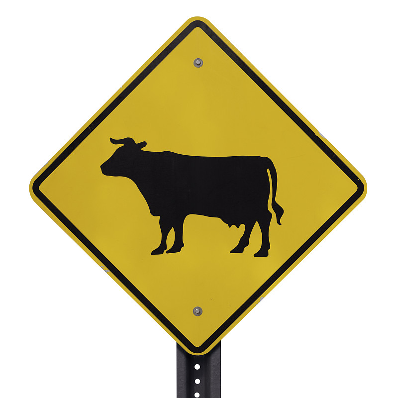 道口标志,牛,美国,非都市风光,交通标志,无人,白色背景,母牛,背景分离,美洲