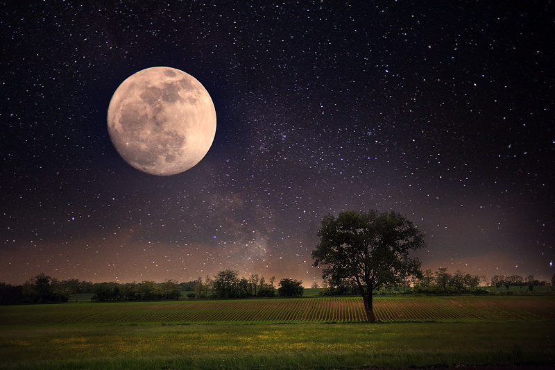 寂寞,行星月亮,月球,月亮,草原,巨大的,天空,星系,水平画幅,夜晚