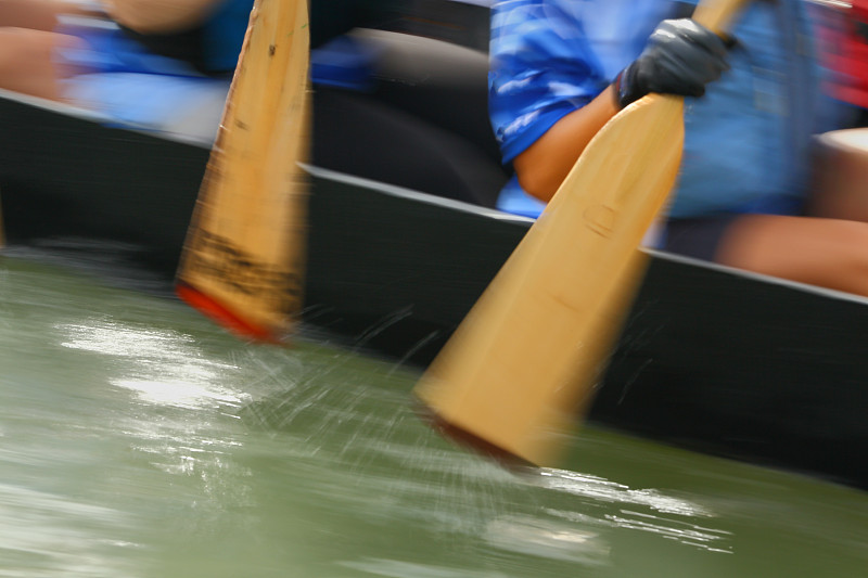 龙舟赛,划艇,体育团队,运动,划船比赛,迅速,水上运动,桨,乘务员,体育比赛