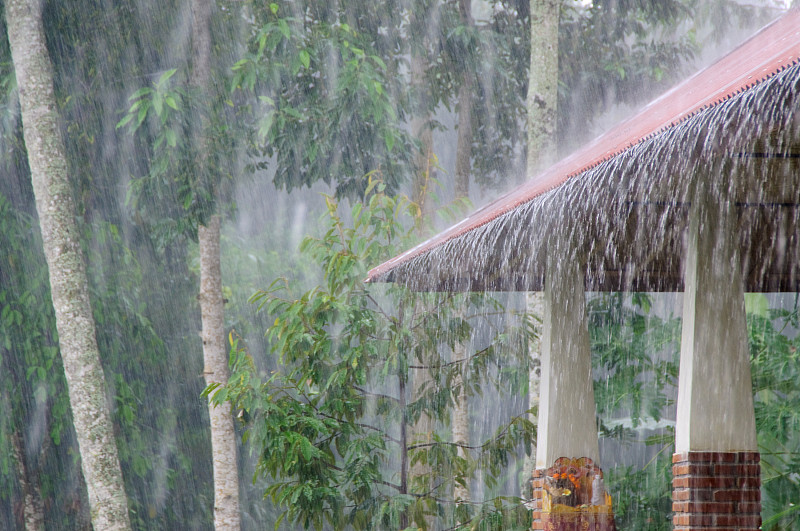 暴雨,热带风暴,季候风,屋檐,湿透,水,褐色,暴风雨,水平画幅,巴厘岛