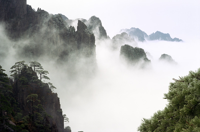 雾,山,黄山山脉,安徽省,自然,松树,水平画幅,地形,无人,户外