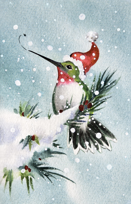 蜂鸟,旅游目的地,红玉喉北蜂鸟,手工着色,垂直画幅,圣诞帽,雪,无人