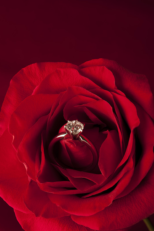 情人节,惊奇,钻石戒指,结婚戒指,玫瑰,红色,铂,垂直画幅,浪漫,钻石形