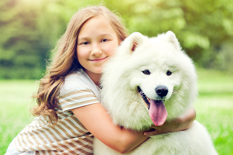 友谊,爱斯基摩犬,萨摩耶犬,半身像,休闲活动,夏天,草,白色,人的脸部,纯洁