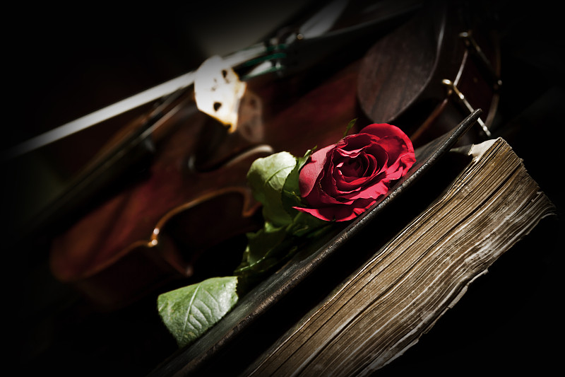 小提琴,玫瑰,旧约书,乐谱,乐器弦,正面视角,水平画幅,无人,古老的,古典式