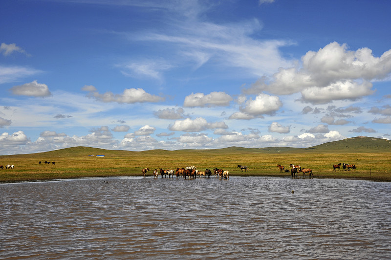 草原,呼伦贝尔,内蒙古自治区,自然,天空,水平画幅,绿色,地形,无人,蓝色