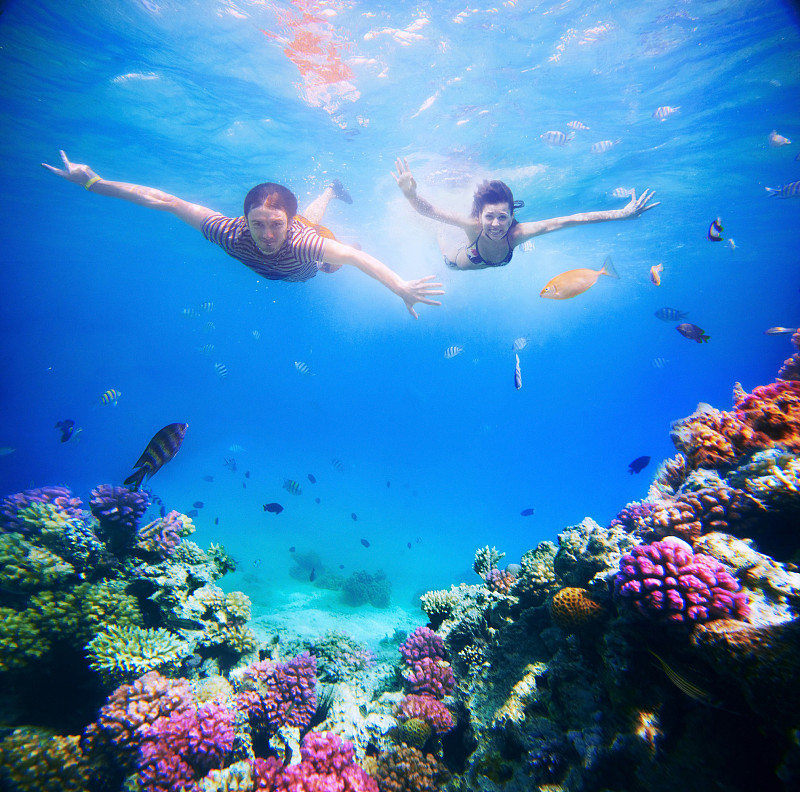 海洋,透明,幸福,鸡尾酒,青年伴侣,浮潜,潜水,水肺潜水,水下,加勒比海