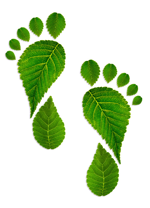 叶子,足,脉搏图,碳足迹,脚印,二氧化碳,绿色,垂直画幅,留白,符号