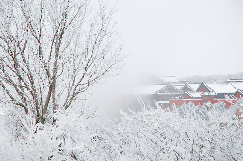 泰山,雪,道教,暴风雨,古典式,建筑业,白色,过时的,冬天,著名景点