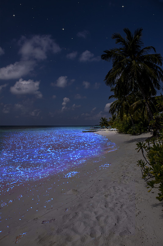 浮游生物,马尔代夫,垂直画幅,水,天空,纹理效果,沙子,夜晚,无人,光亮