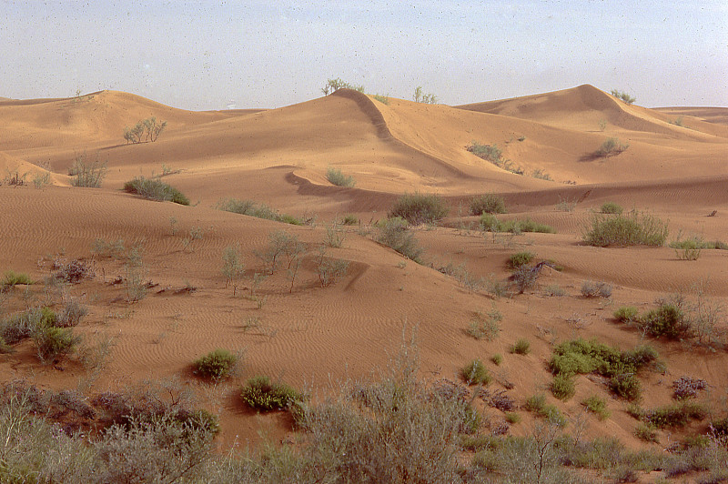 沙丘,宁夏回族自治区,中国,腾格里沙漠,沙坡头,风土流程,黄河,美,留白,水平画幅