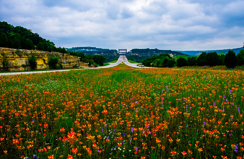 野花,桥,360度景观,水,得克萨斯州山丘郡,水平画幅,户外,湖,奥斯汀镇,都市风景