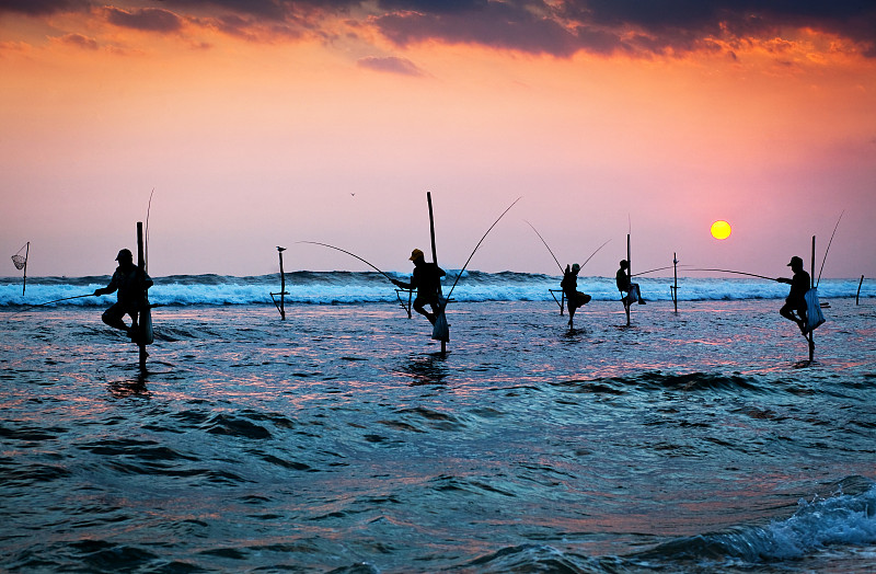 渔夫,传统,高跷,加勒,斯里兰卡,斯里兰卡人,水平画幅,夏天,户外,成年的