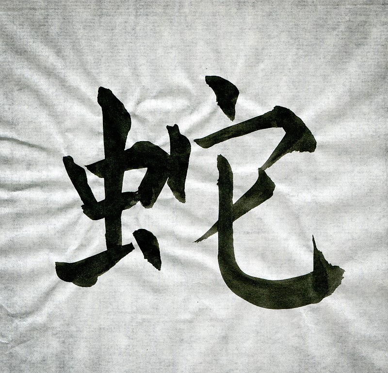 汉字,蛇,2013,单词,蛇年,日文汉字,日文,十二生肖,折叠的,水平画幅