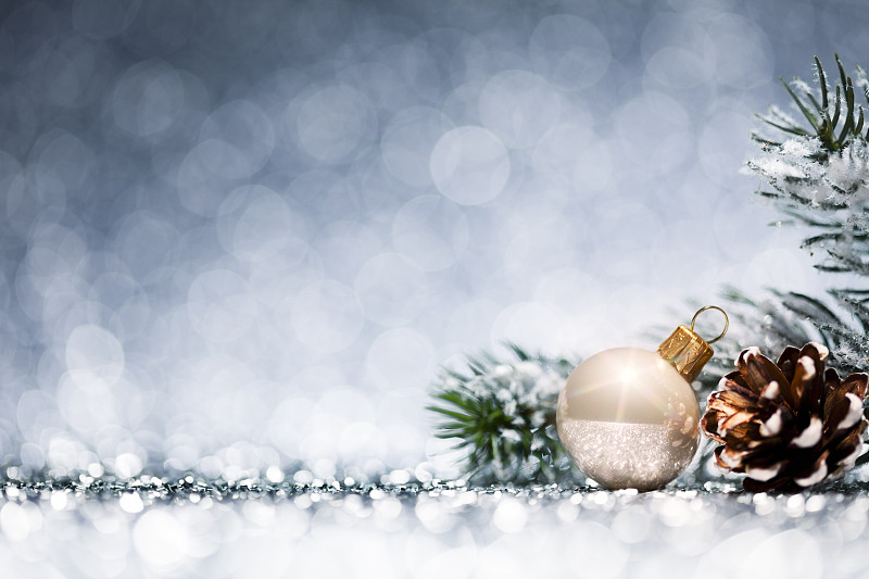 黄金,枝,冬天,冻结的,圣诞球,背景虚化,圣诞装饰,圣诞小彩灯,圣诞装饰物,圣诞树