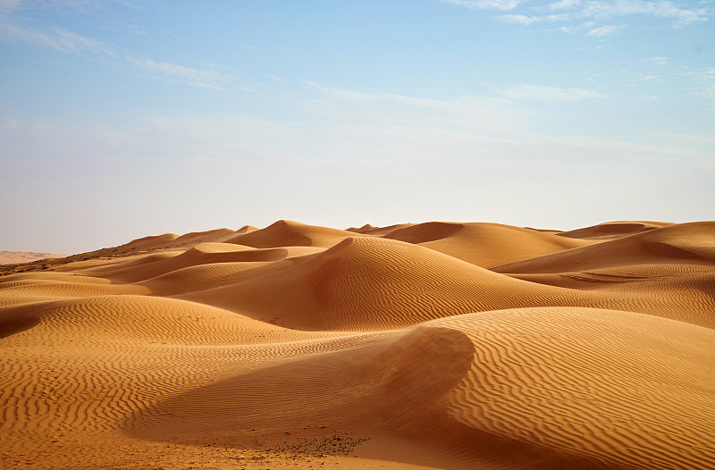 沙丘,风,水平画幅,地形,沙子,无人,户外,阿曼,2015年,wahiba