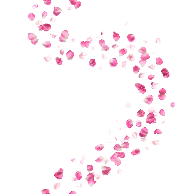 粉色,玫瑰花瓣,留白,风,芳香的,形状,轻的,轻轻浮起,玫瑰,粒子