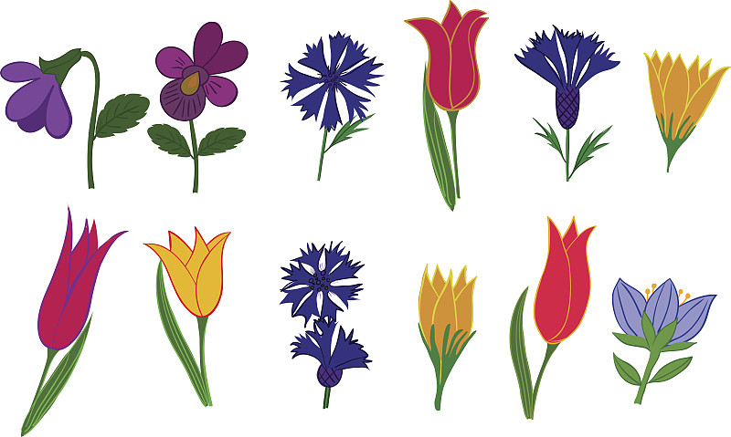 反差,香堇菜,三色堇,箔击剑,非洲堇,矢车菊,郁金香,无人,绘画插图,符号