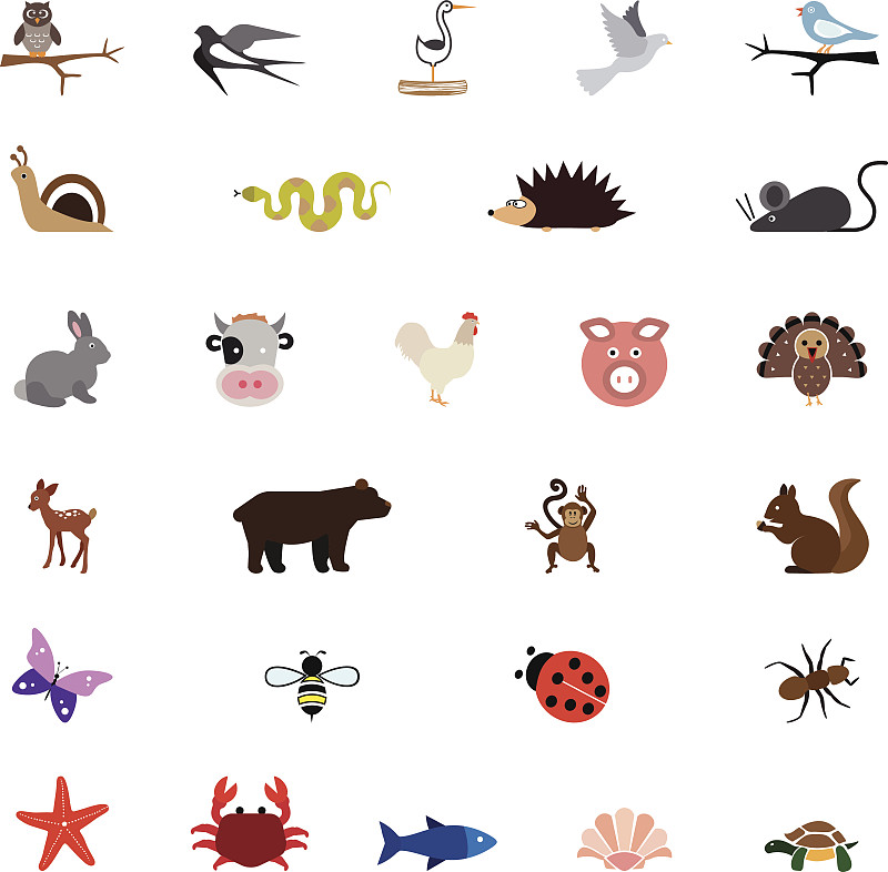 绘画插图,动物,彩色图片,蝴蝶,鸟类,蚂蚁,猴子,兔子,热带雨林,野外动物