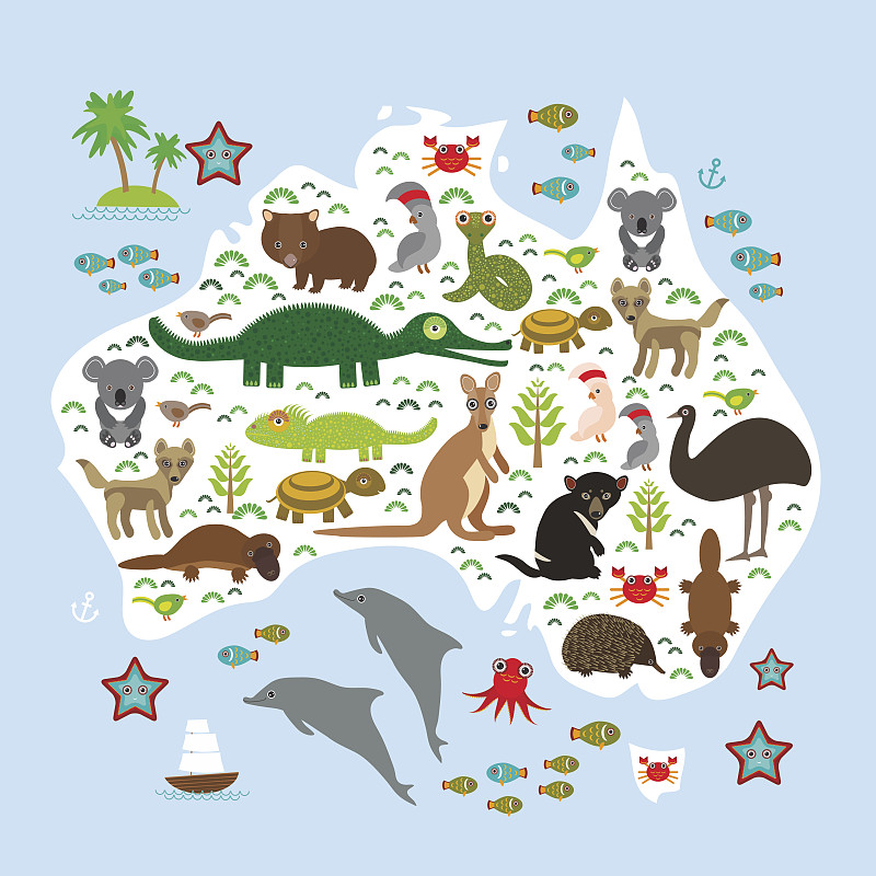 袋獾,袋熊,针鼹,蛇,龟,澳洲野狗,袋鼠,鸭嘴兽,鸸鹋,可爱的