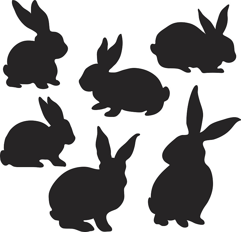 复活节兔子,小兔子,复活节,野生动物,家畜,动物耳朵,绘画插图,符号,动物身体部位,兔子
