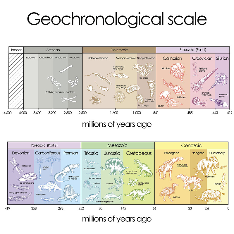 比例,新元古代,元古代,奥陶纪,silurian,devonian,寒武纪,古生代,carboniferous,三叠系