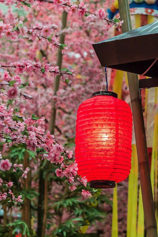 七夕节,灯笼,仅日本人,纸灯笼,浪漫,平塚市,杆,日本人,樱花,幸福