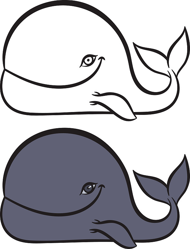 鲸,动物手,俾格米露脊鲸,北极露脊鲸,布氏鲸,南极脊美鲸,灰鲸科,长须鲸,蓝鲸,座头鲸