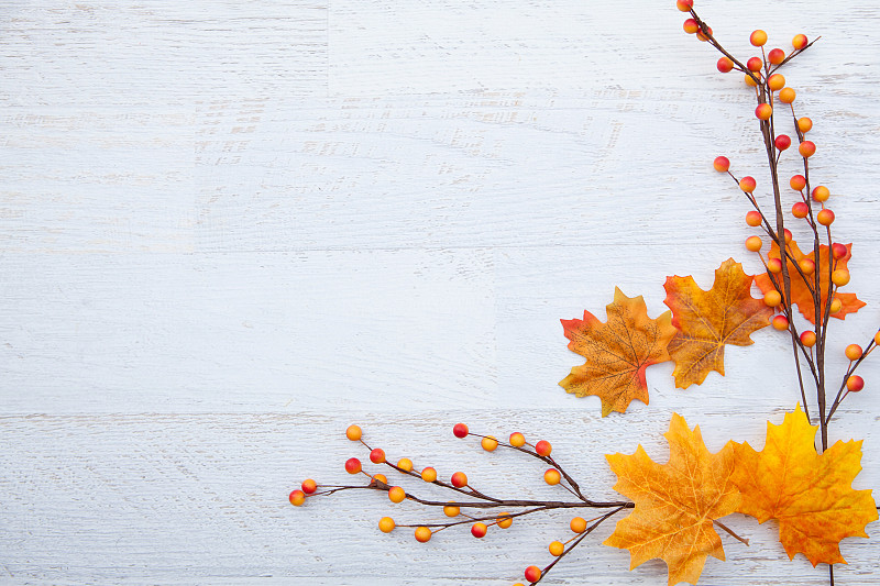 秋天,背景,十一月,农作物,建筑结构,叶子,白色,边框,桌子,相框